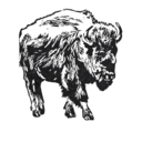 sketchybuffalo avatar