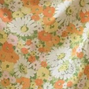 skieselectric avatar