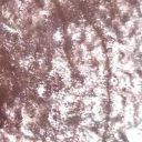 skillfulsquirrel avatar