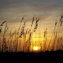 skinandsticks avatar