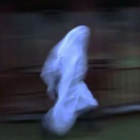 skinii-rat-h0e avatar