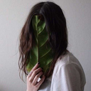 skinny-dandelion avatar