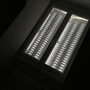 skinny-disillusion avatar