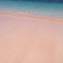 skinny-love-darling avatar