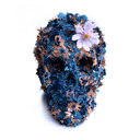 skinny-style-blog avatar