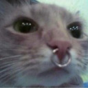 skinny-thingz avatar