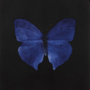 skinny00goddess avatar