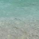 skinny2005queen avatar