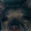 skinnydreamss15 avatar