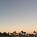 skinnyisprettyy avatar