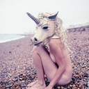 skinnylove-xxx-blog avatar