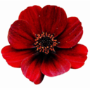 skinnylove1406 avatar