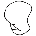 skinnywolfrider-blog avatar