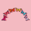 skinnyy-lovve avatar