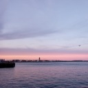 skinnyzerocal avatar