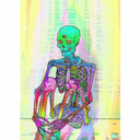 skinthinandbones avatar