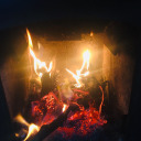 skippinginsunlight avatar