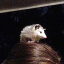 skitter-skatter69 avatar