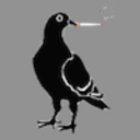 skitterypigeon avatar