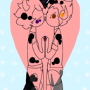 skittykitty55 avatar