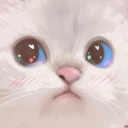 skittykittycat avatar