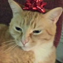 sknahtheh avatar