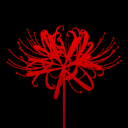 skoetiepoetie avatar