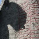 skogsskratti-ristr-runar avatar