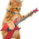 skrimp-bizkit avatar