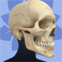 skull-blog avatar