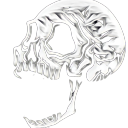 skull-shit avatar