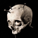 skull-shore avatar