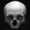 skull-valley avatar