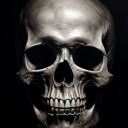 skull-yard avatar