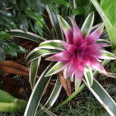 skullcandy11111198 avatar