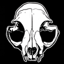 skullcatstudios avatar