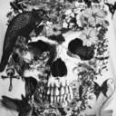 skullsandbonessss avatar