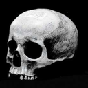 skullsandgalaxies avatar