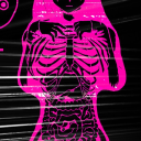 skullzdostuff avatar