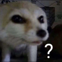 skunknot avatar