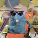 skunknuts-wine avatar