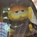 sky-bison-lover avatar