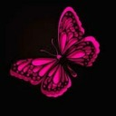 sky-butterfly avatar