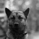 sky-is-heaven avatar