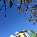 sky-is-my-place avatar