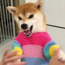 skyblurry-moved avatar