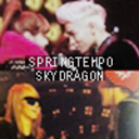 skydragon-springtempo avatar