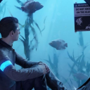 skydreamplayzz avatar