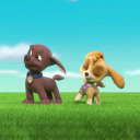 skyeandzumapupfan avatar