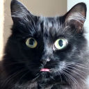 skyefromthefuture avatar